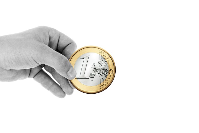 euro v ruce.jpg